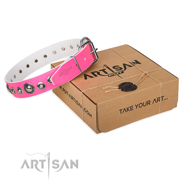 Full grain natural leather dog collar made of high quality material with durable buckle