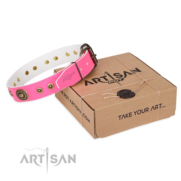 Genuine leather dog collar made of gentle to touch material with rust resistant hardware