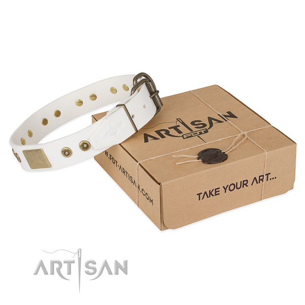 Unique natural leather collar for your impressive dog
