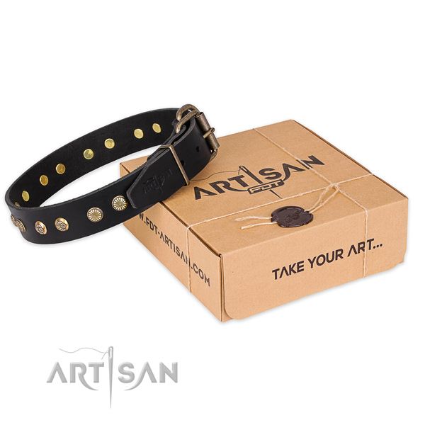 Rust-proof traditional buckle on genuine leather collar for your lovely pet