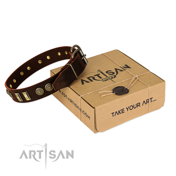Corrosion proof traditional buckle on natural leather dog collar for your four-legged friend