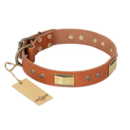 "Enchanting Spectacle" FDT Artisan Tan Leather Siberian Husky Collar with Old Bronze Look Plates and Round Studs "Enchanting Spectacle" FDT Artisan Tan Leather Siberian Husky Collar with Old Bronze Look Plates and Round Studs