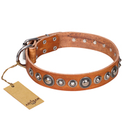 "Daily Chic" FDT Artisan Tan Leather Siberian Husky Collar with Decorations