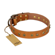 "Autumn Story" FDT Artisan Leather Siberian Husky Collar with Old Bronze Look Studs