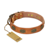 "Magic Amulet" FDT Artisan Tan Leather Siberian Husky Collar with Oval Studs