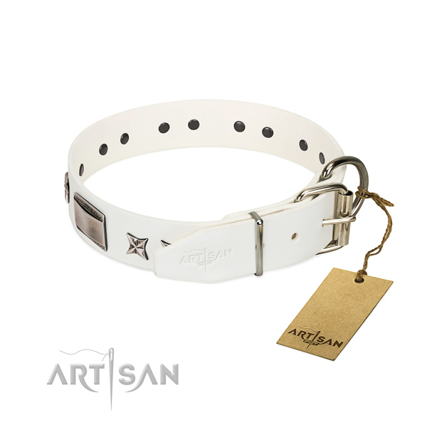 Studded collar of genuine leather for your beautiful canine