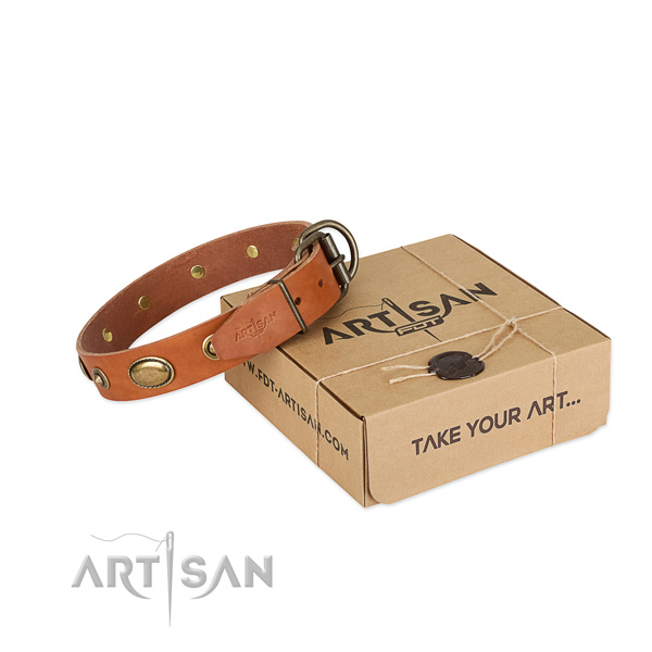 Rust resistant buckle on natural leather dog collar for your canine