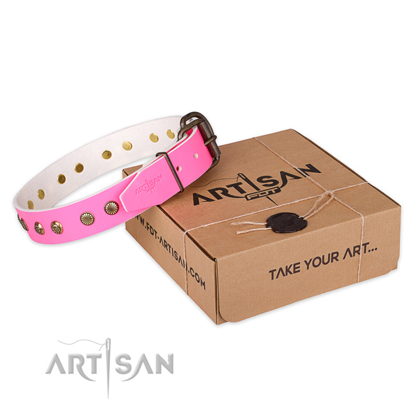 Corrosion proof buckle on leather collar for your stylish doggie