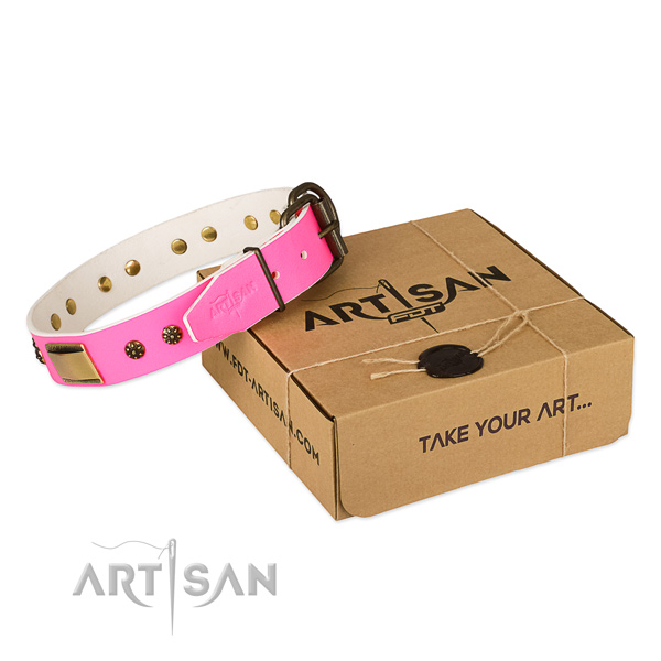 Exquisite full grain natural leather collar for your impressive dog
