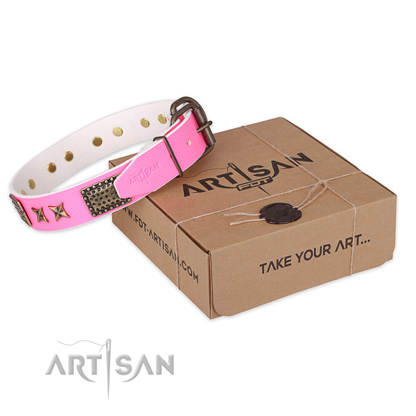 Durable traditional buckle on full grain leather collar for your attractive canine