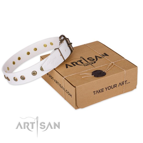 Reliable buckle on leather collar for your handsome four-legged friend