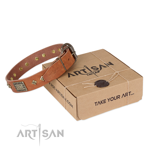 Significant leather collar for your attractive dog