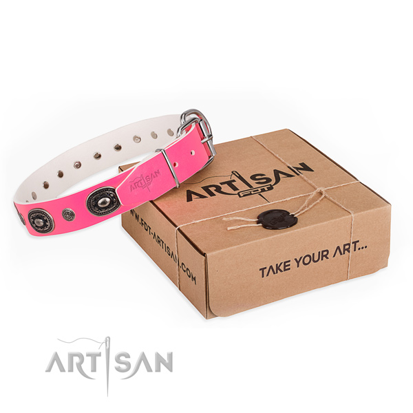 Top notch leather dog collar handcrafted for stylish walking