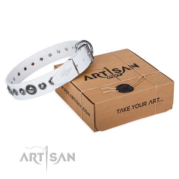 Full grain leather dog collar made of high quality material with durable fittings
