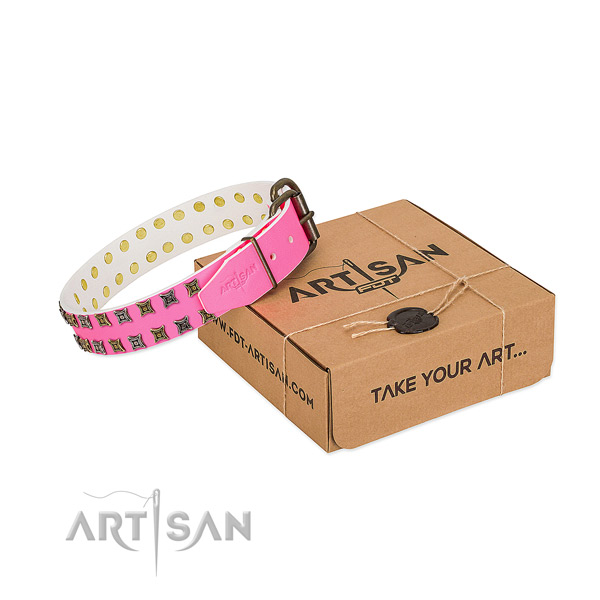 Full grain genuine leather collar with extraordinary adornments for your canine