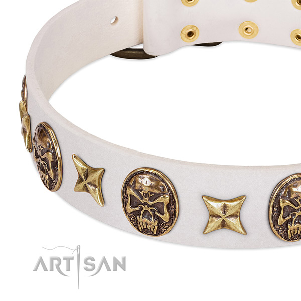 Stylish dog collar crafted for your stylish doggie