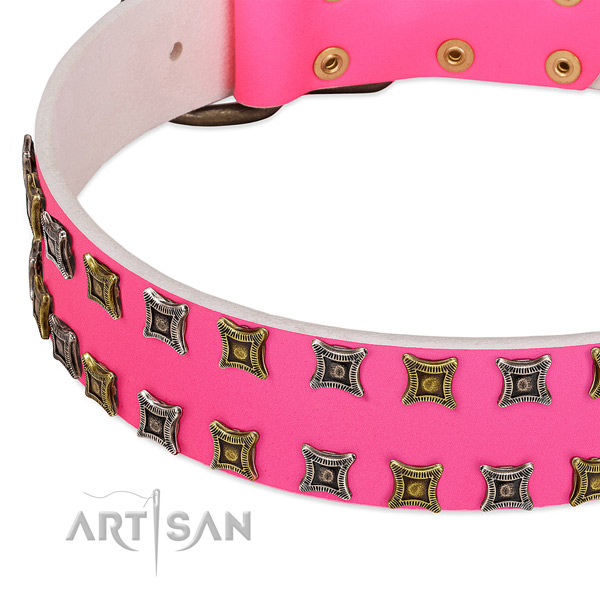 Natural leather dog collar with studs for your attractive four-legged friend