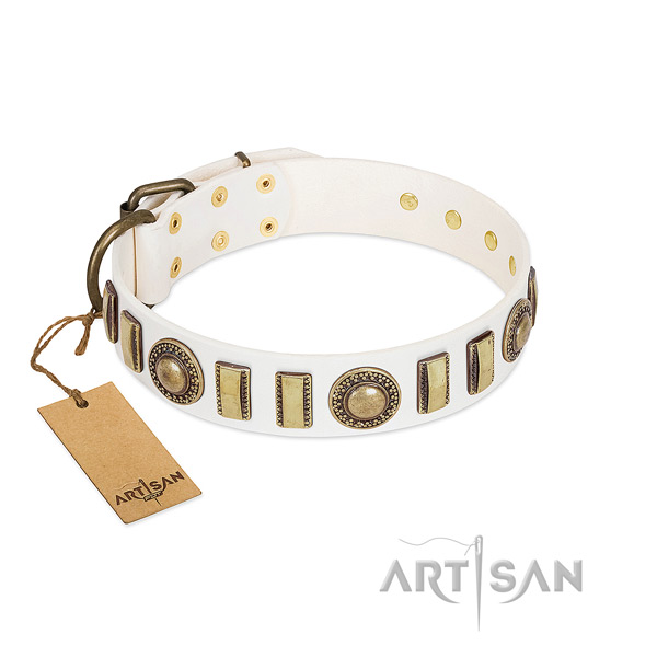 Handmade leather dog collar with reliable fittings