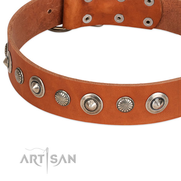 Awesome adorned dog collar of top quality full grain leather