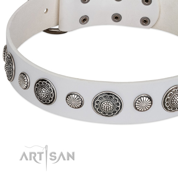 Genuine leather collar with rust-proof hardware for your beautiful canine