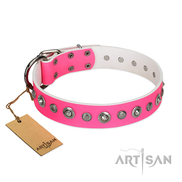 Strong natural leather dog collar with unusual studs