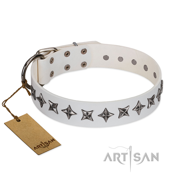 Everyday walking dog collar of strong full grain leather with decorations