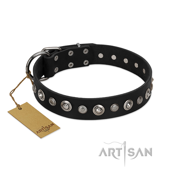 Top quality full grain genuine leather dog collar with stylish decorations