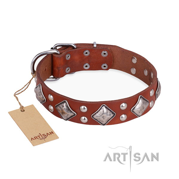 Daily walking stylish design dog collar with reliable traditional buckle