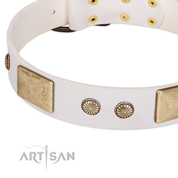 Rust-proof traditional buckle on genuine leather dog collar for your canine