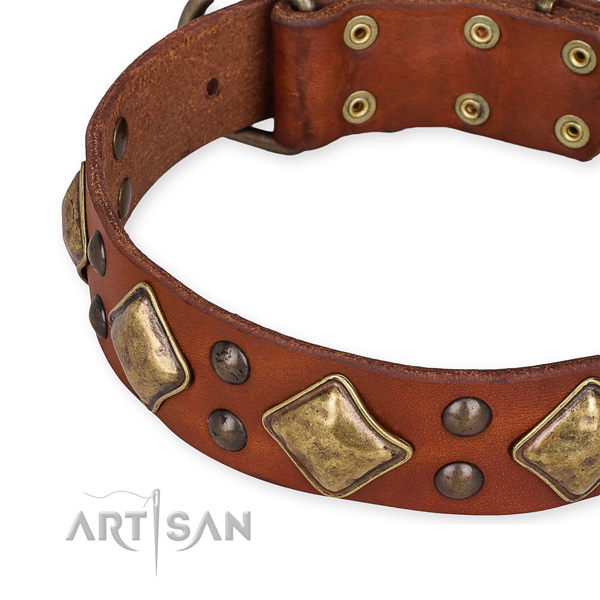 Natural leather collar with corrosion proof D-ring for your beautiful canine