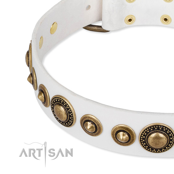 Best quality full grain leather dog collar crafted for your lovely doggie