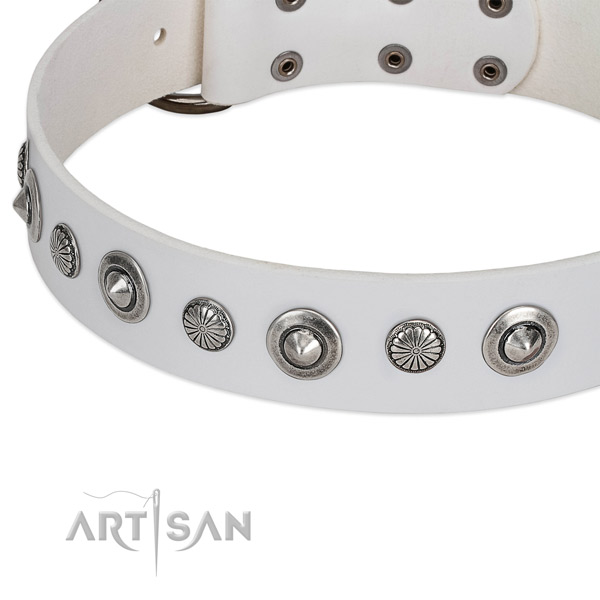 Full grain genuine leather collar with durable buckle for your stylish dog