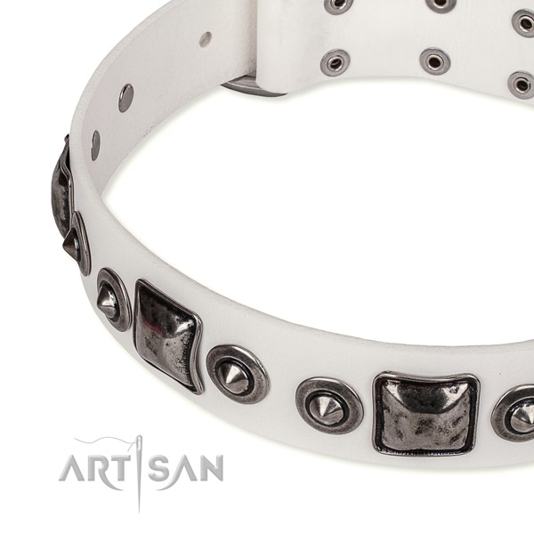 Flexible genuine leather dog collar crafted for your handsome doggie