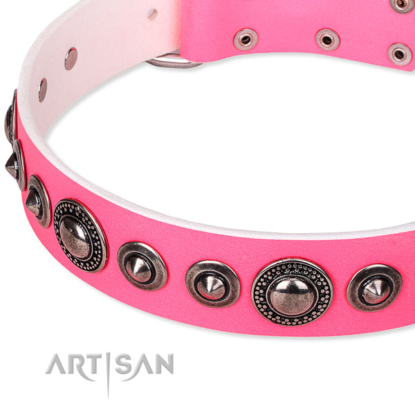 Comfy wearing studded dog collar of finest quality full grain natural leather