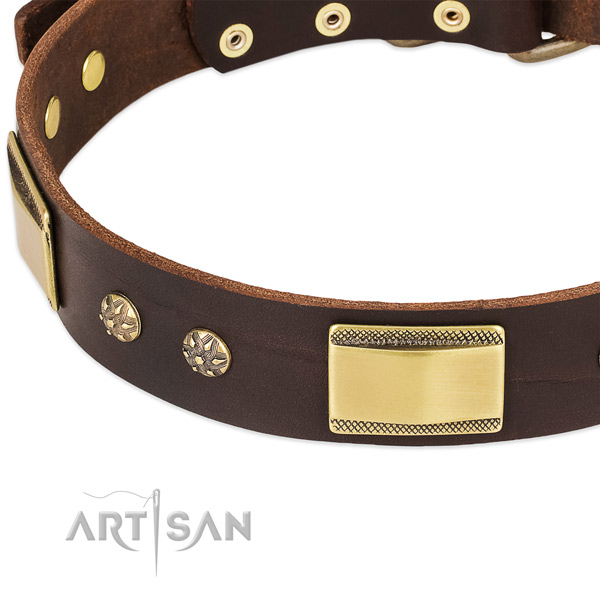 Reliable decorations on full grain leather dog collar for your doggie