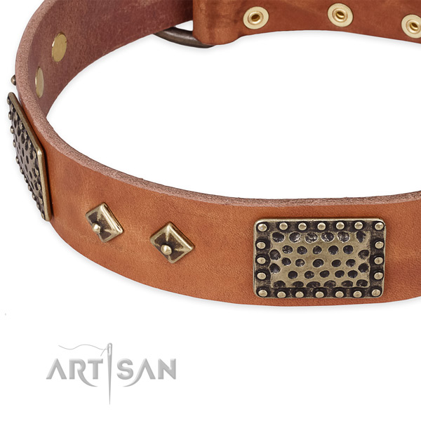 Corrosion resistant embellishments on full grain genuine leather dog collar for your canine