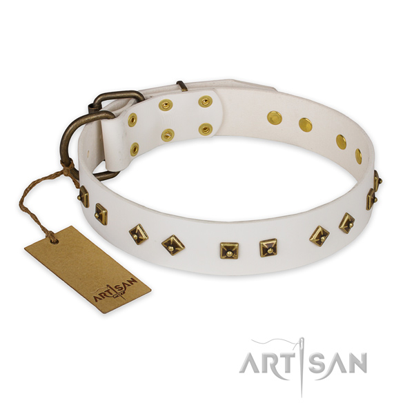 Significant genuine leather dog collar with reliable fittings