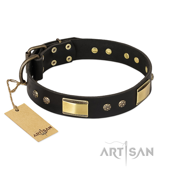 Significant full grain genuine leather collar for your four-legged friend