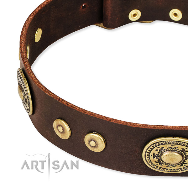 Embellished dog collar made of quality leather