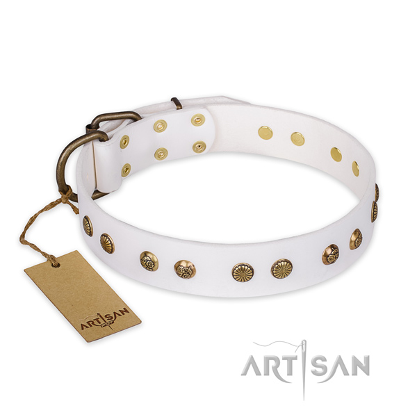 Perfect fit natural genuine leather dog collar with rust-proof hardware