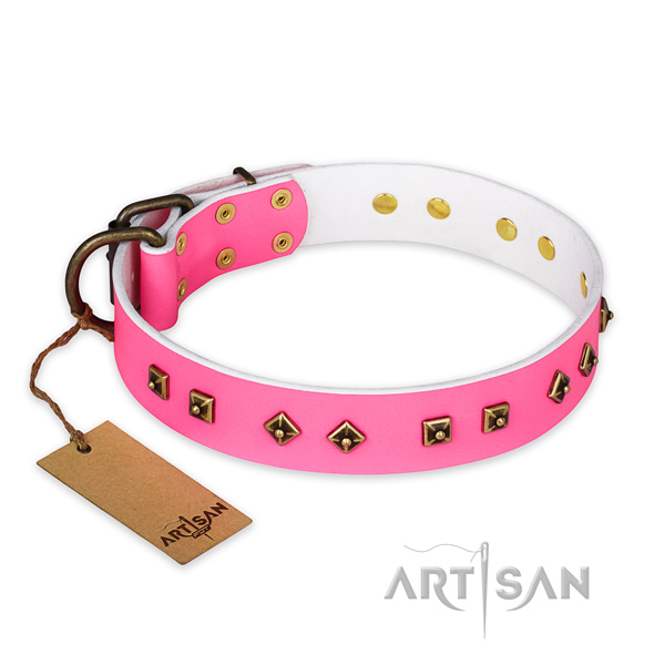 Unusual genuine leather dog collar with corrosion resistant traditional buckle