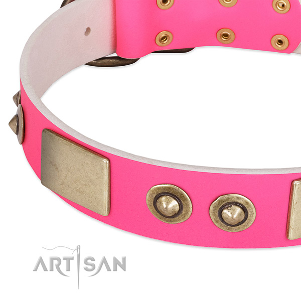 Corrosion proof embellishments on full grain natural leather dog collar for your pet