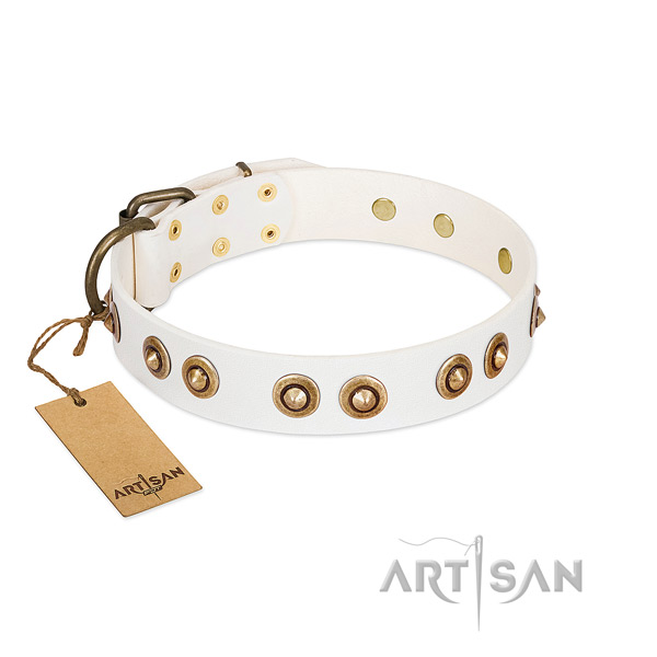 Amazing full grain natural leather collar for your dog