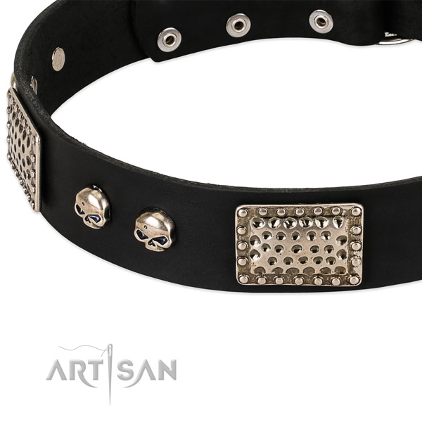 Rust resistant studs on full grain leather dog collar for your doggie