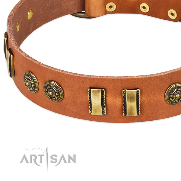 Durable embellishments on full grain natural leather dog collar for your pet