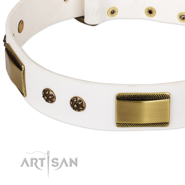 Strong fittings on leather dog collar for your four-legged friend