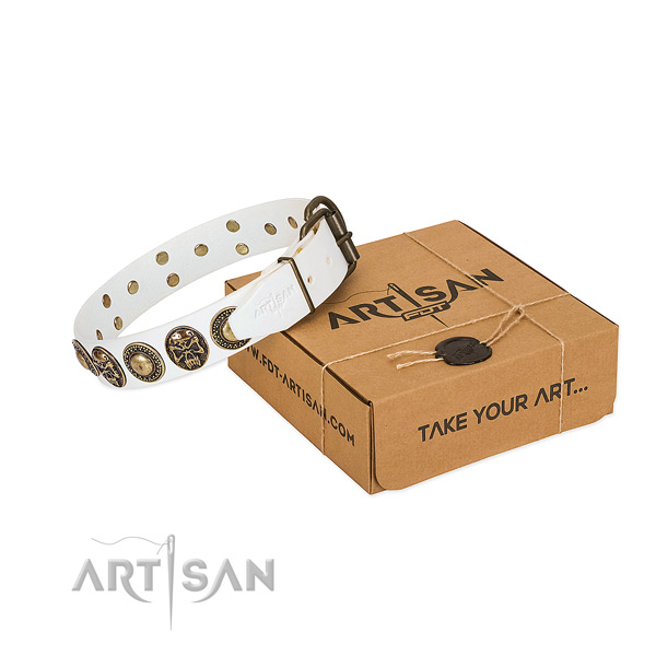 Rust resistant D-ring on dog collar for stylish walking