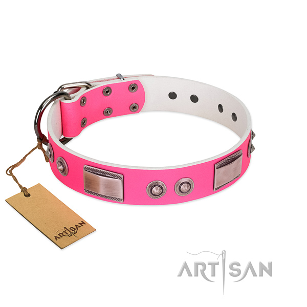 Comfortable full grain genuine leather collar with adornments for your doggie