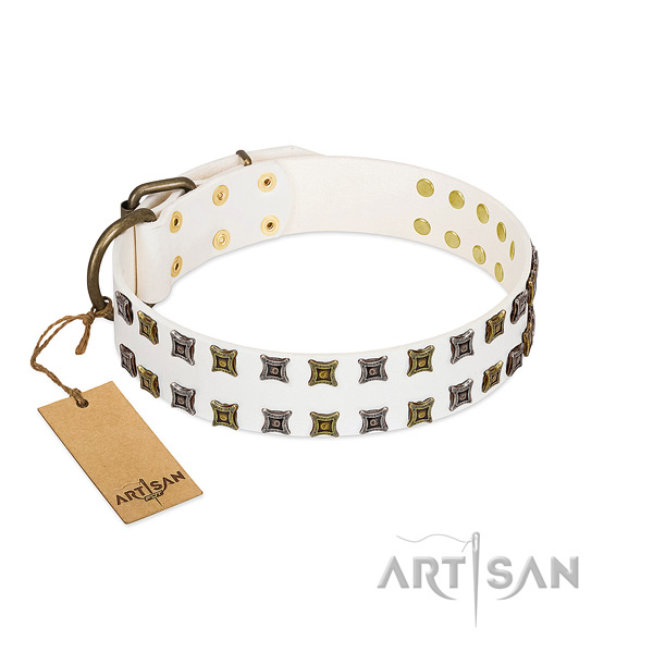 Soft to touch full grain genuine leather dog collar with studs for your dog