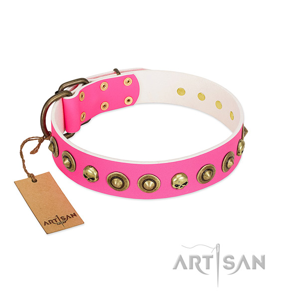 Leather collar with stunning adornments for your four-legged friend